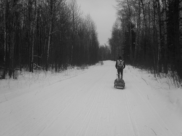 Moving through endless woods at Arrowhead 135