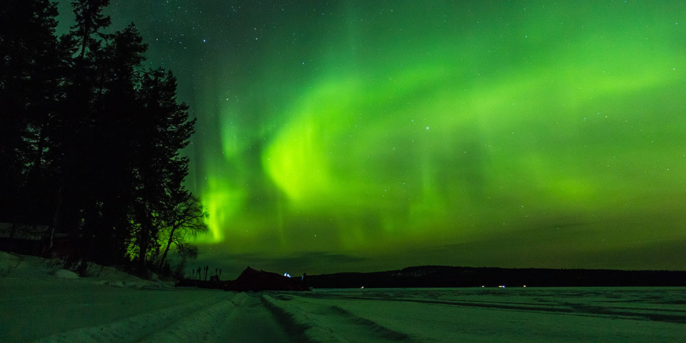 Arctic